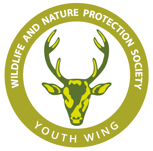 WNPS Youth